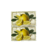 Two lemon-scented Saponificio Artigianale Fiorentino bar soaps with Italian-inspired packaging, placed on a clean bathroom surface.